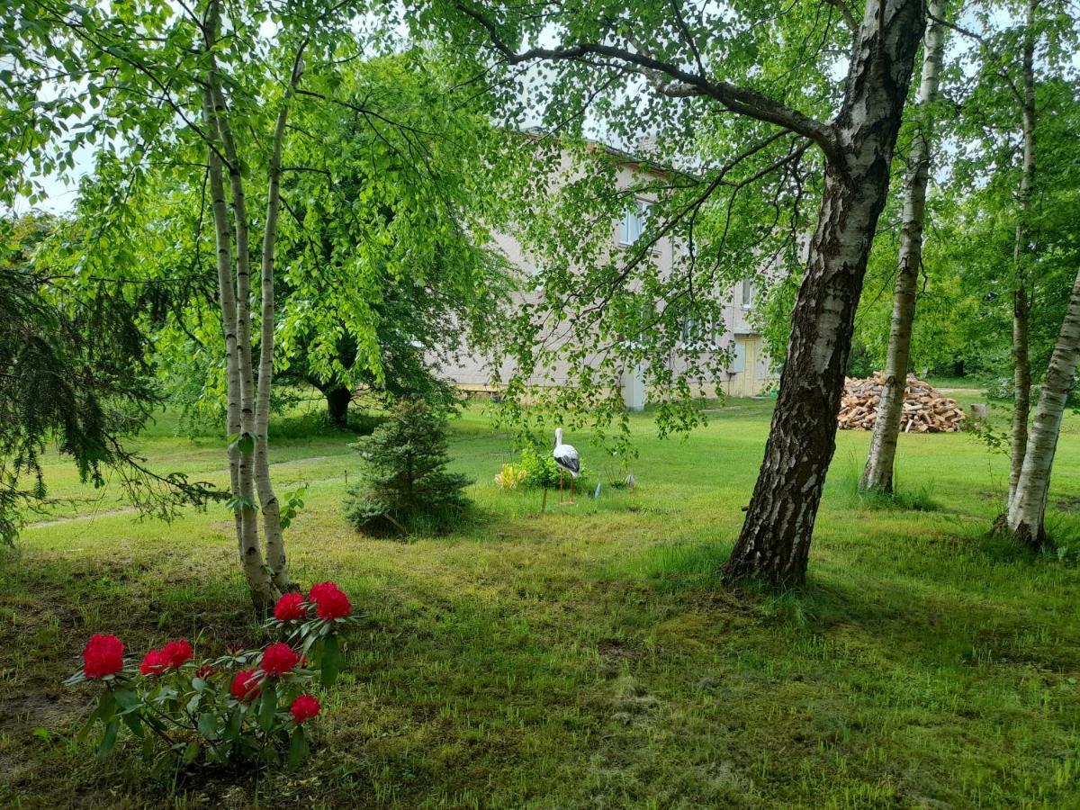Quiet Summer Apartment Aucugals 외부 사진